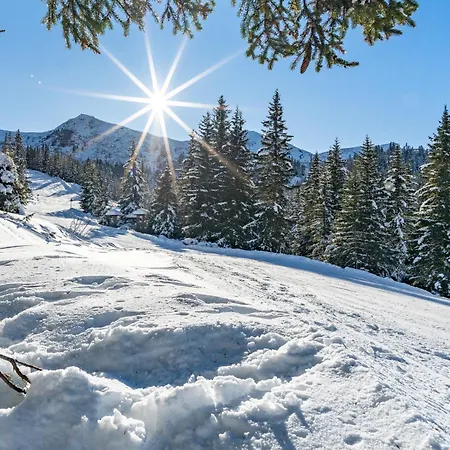 Planner Alpenhof 3*